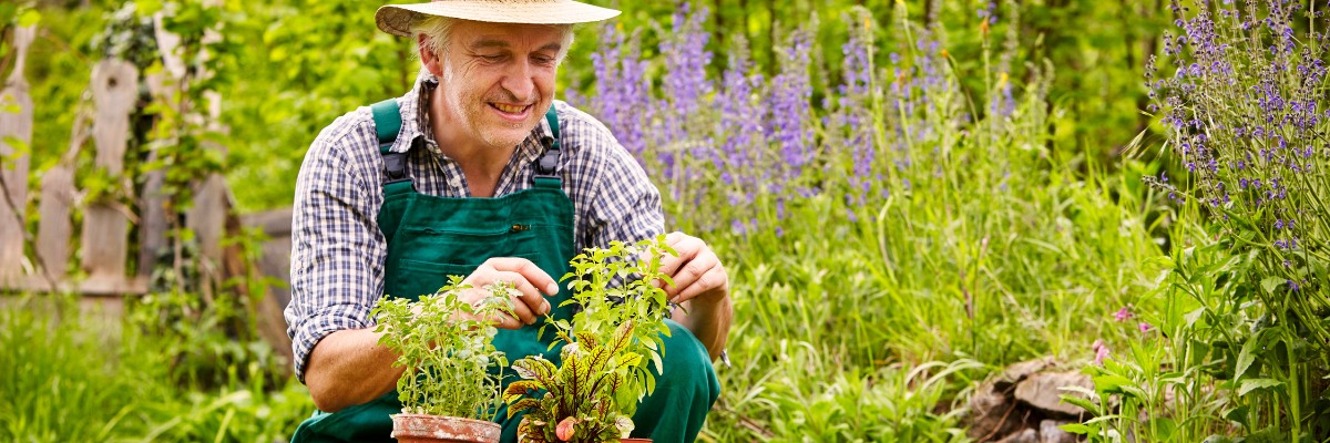 "10 Simple Tips for a Successful Garden: A Beginner's Guide to Gardening